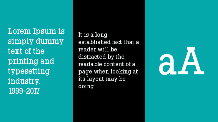 Slab Tall X Font Family