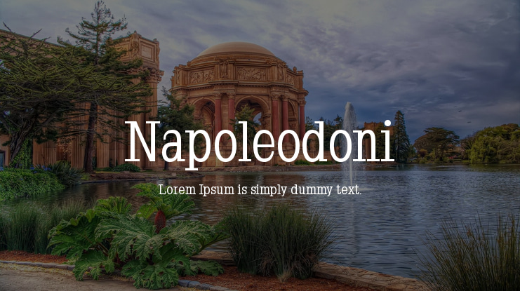 Napoleodoni Font Family