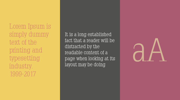 Napoleodoni Font Family