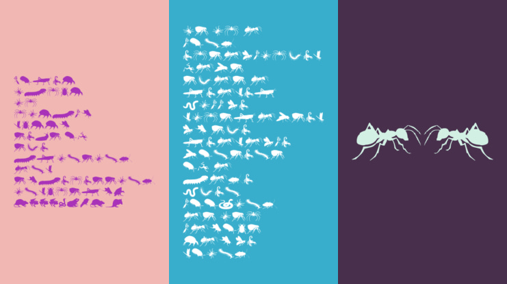 Creepy Crawlies Font