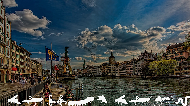 Creepy Crawlies Font