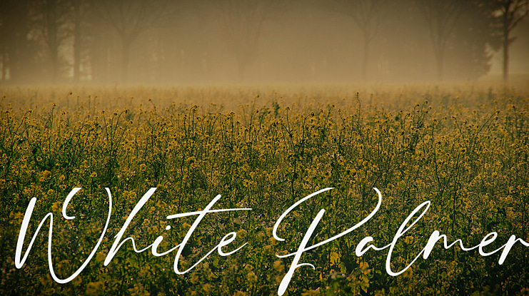 White Palmer Font