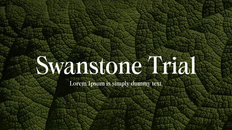 Swanstone Trial Font