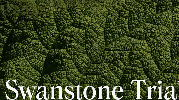 Swanstone Trial Font