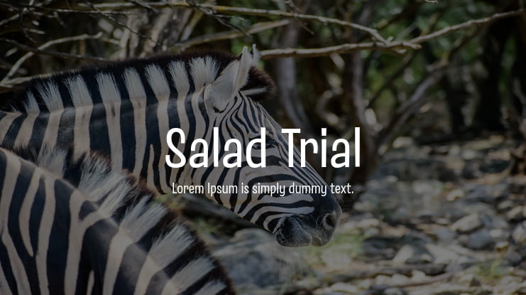 Salad Trial Font Family