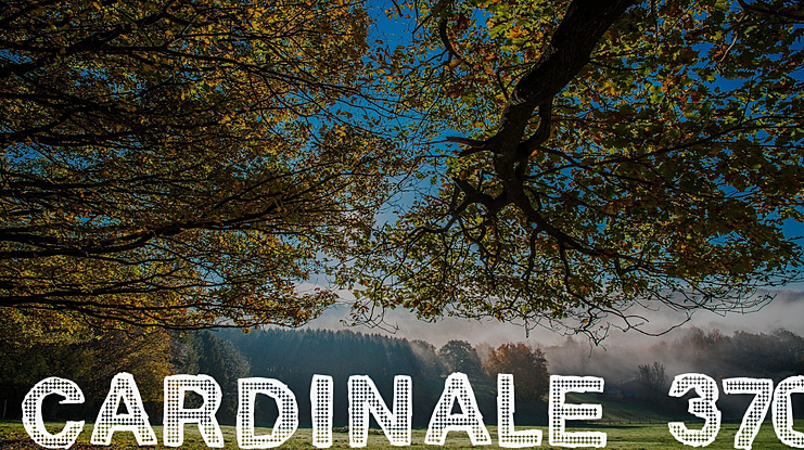 Cardinale 370 Font