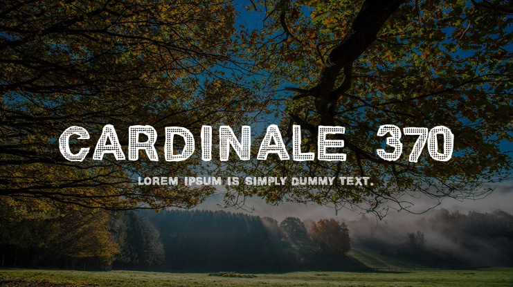 Cardinale 370 Font