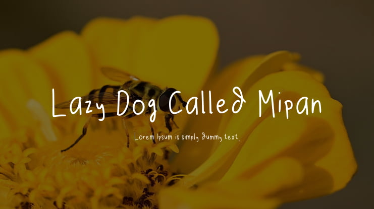 Lazy Dog Called Mipan Font