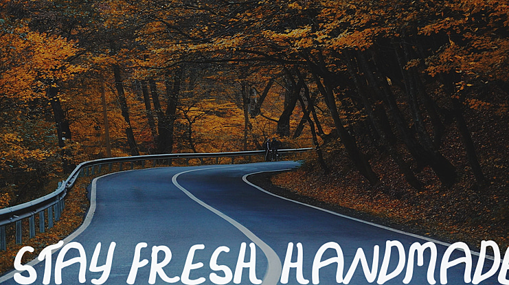 Stay Fresh Handmade Font
