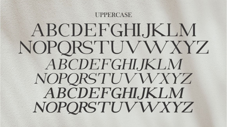 Bekinder Serif Font Family