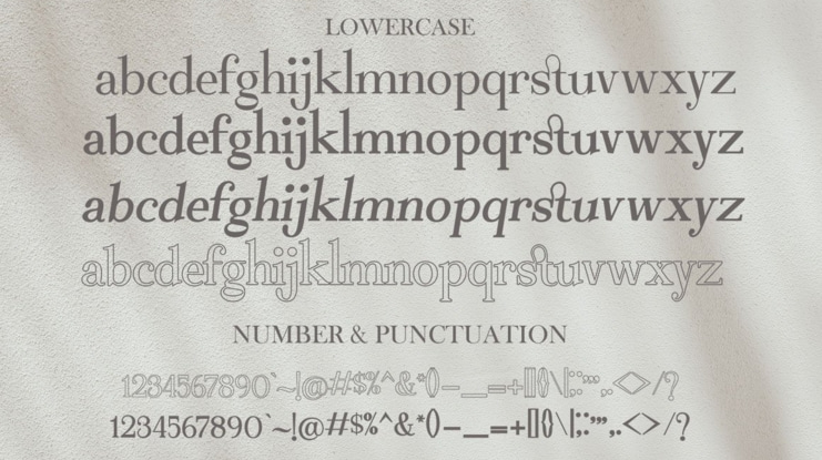 Bekinder Serif Font Family