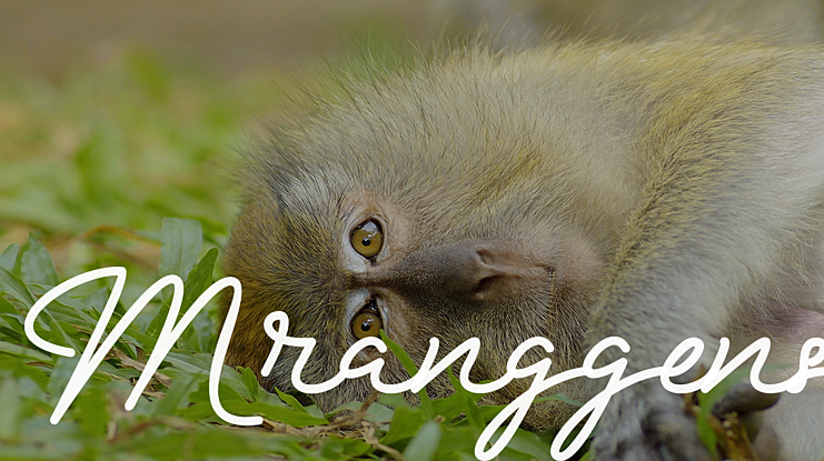 Mranggens Font