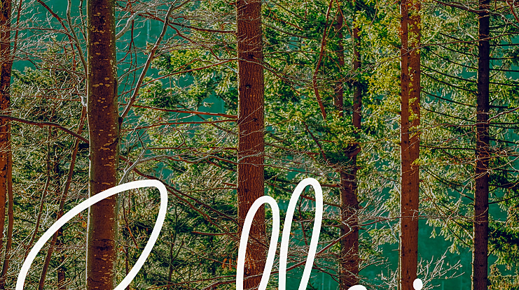 Ballerin Font