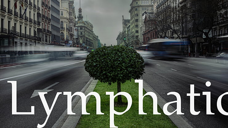 Lymphatic Font