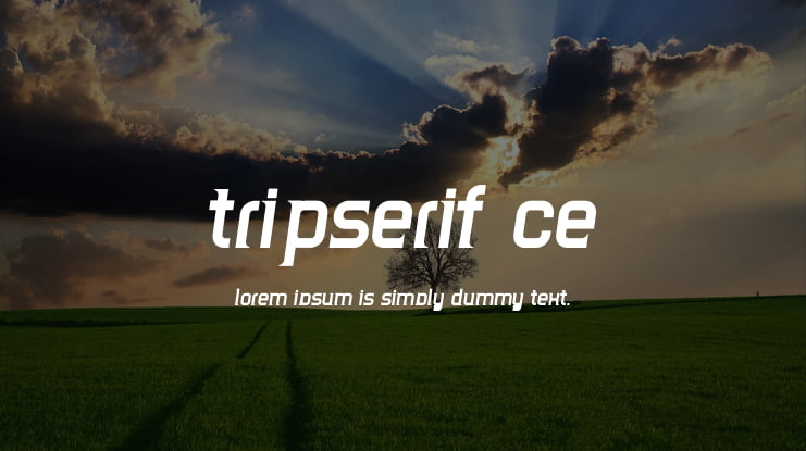 TripSerif CE Font Family