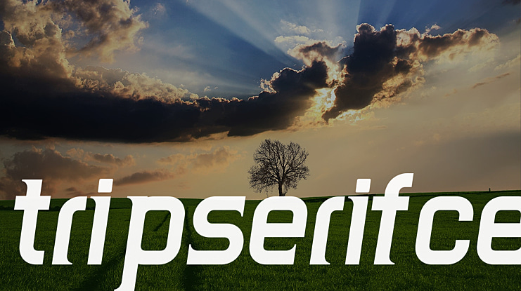 TripSerif CE Font Family