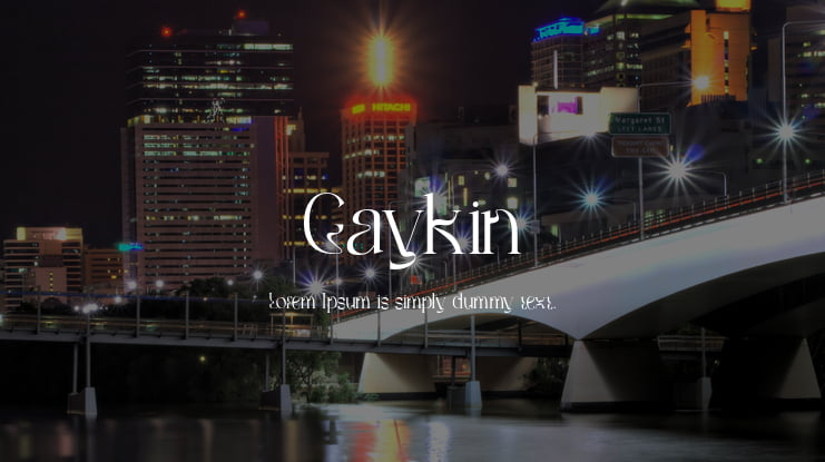 Gaykin Font