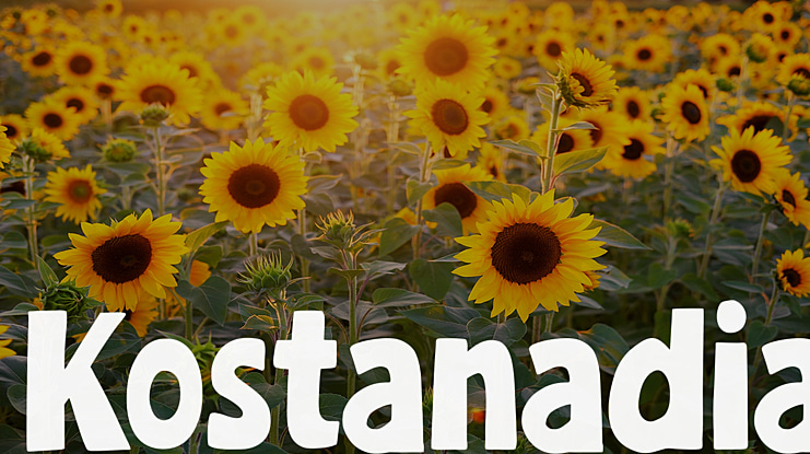 Kostanadia Font