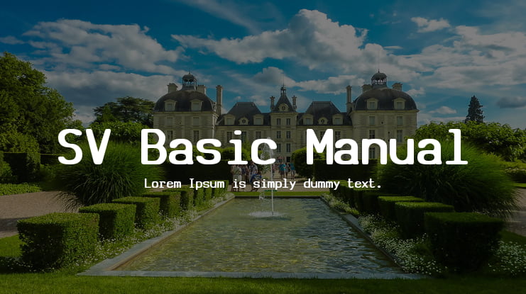 SV Basic Manual Font Family