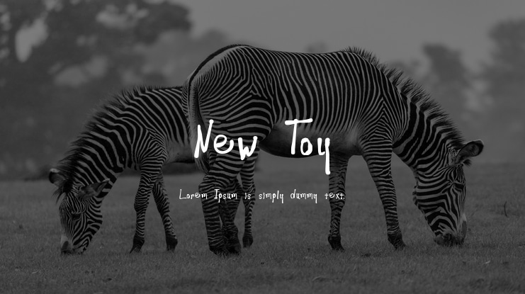 New Toy Font