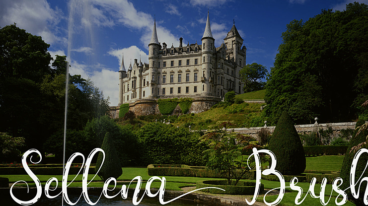 Sellena Brush Font