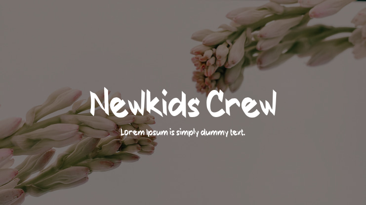 Newkids Crew Font