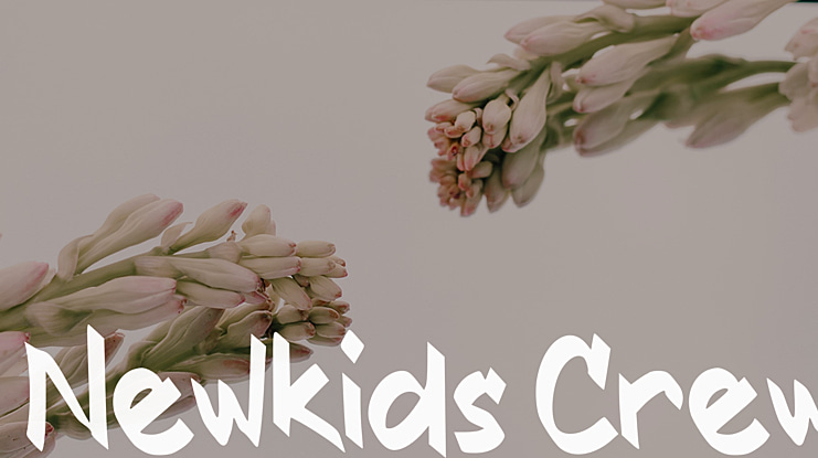 Newkids Crew Font