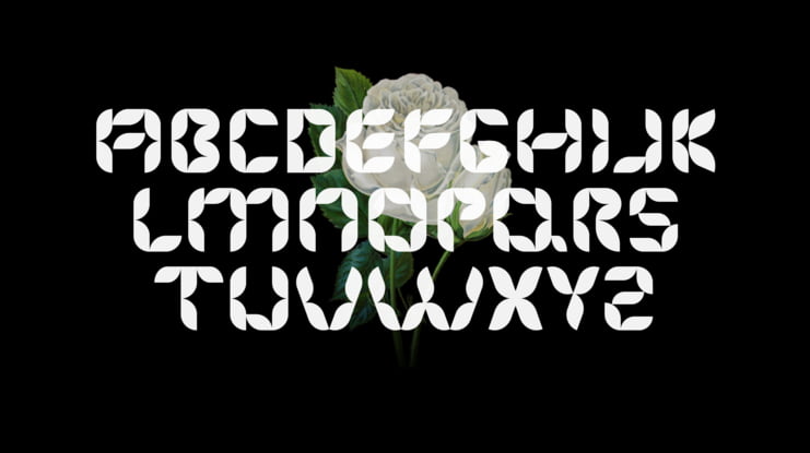 Florisa - Flower font