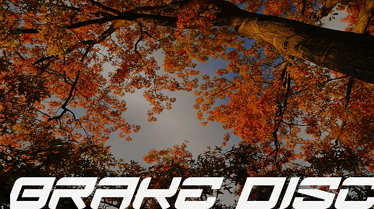 Brake DIsc Font