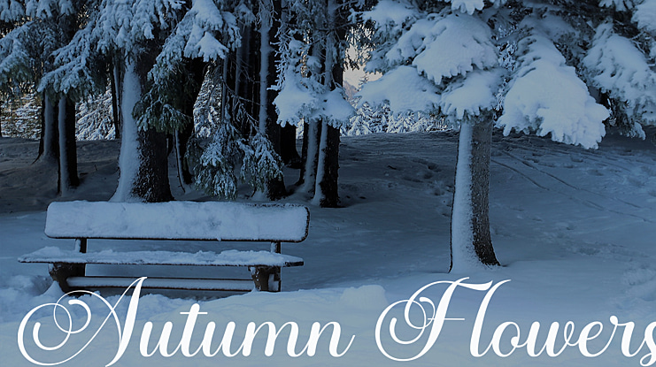 Autumn Flowers Font