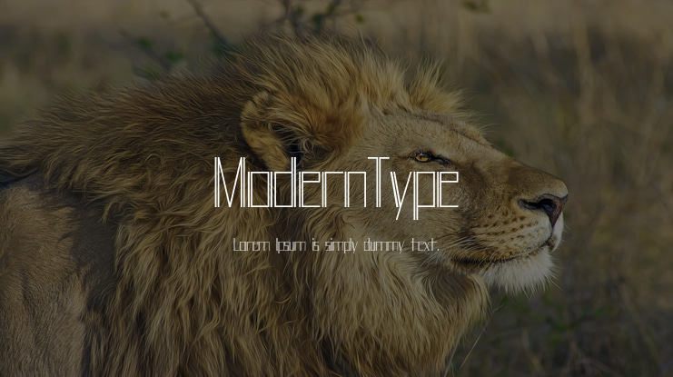 ModernType Font Family