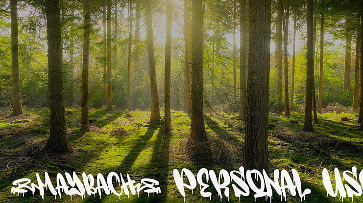 Maybach Personal Use Font