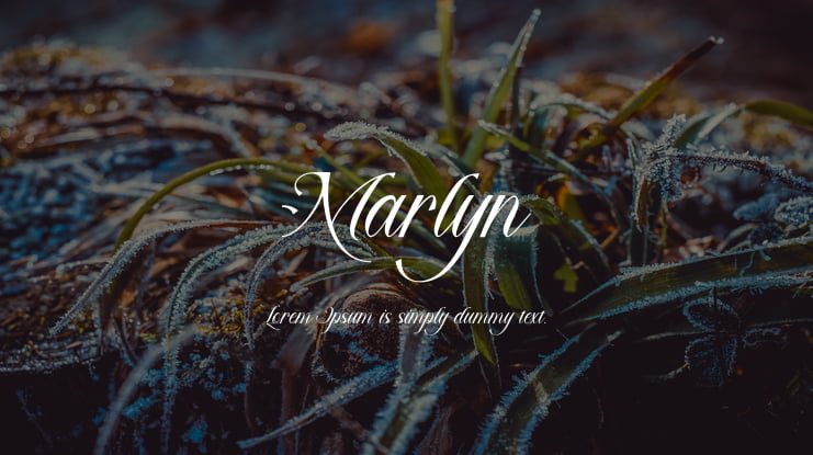 Marlyn Font