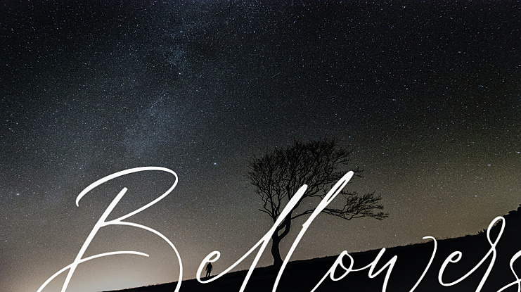 Bellowers Font