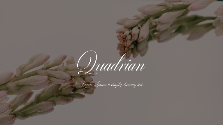 Quadrian Font