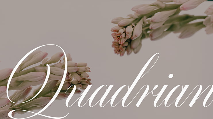 Quadrian Font