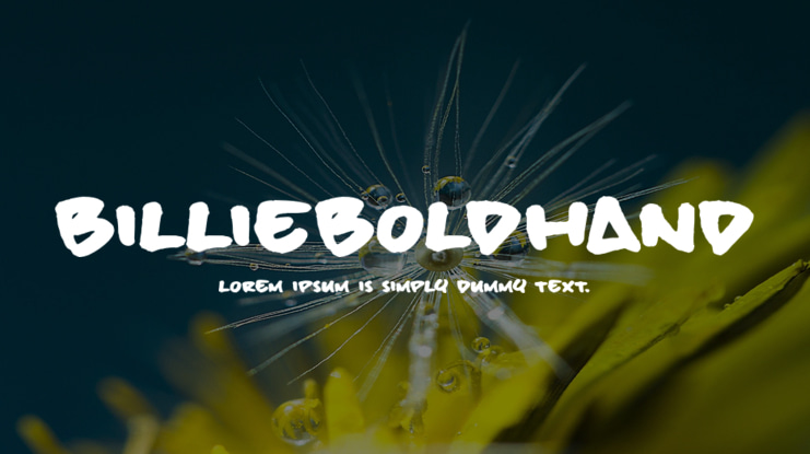 billieBoldHand Font