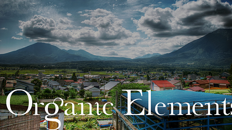 Organic Elements Font