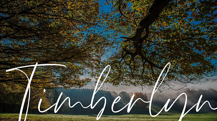 Timberlyn Font