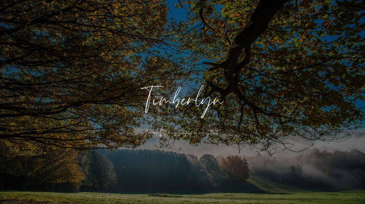 Timberlyn Font
