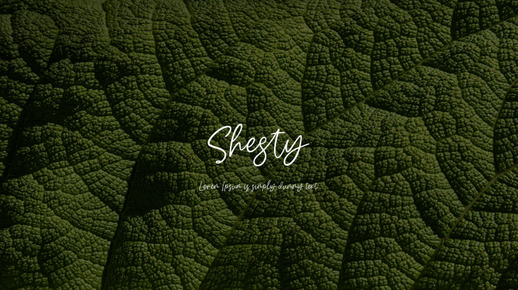 Shesty Font