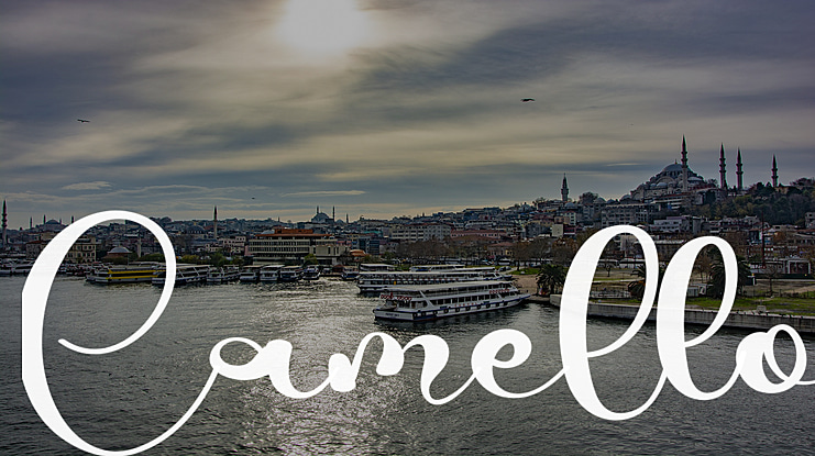 Camello Font