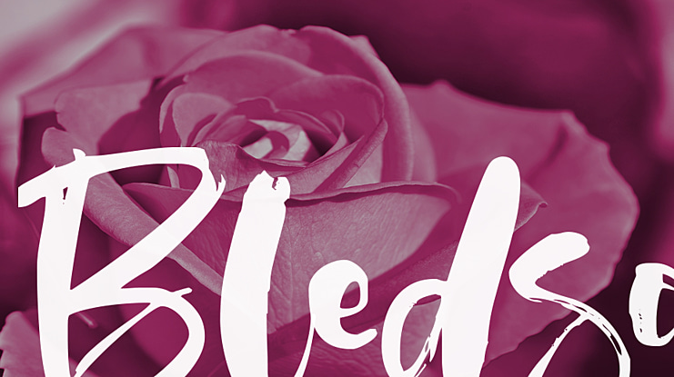 Bledso Font