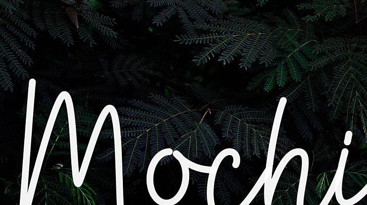Mochi Font