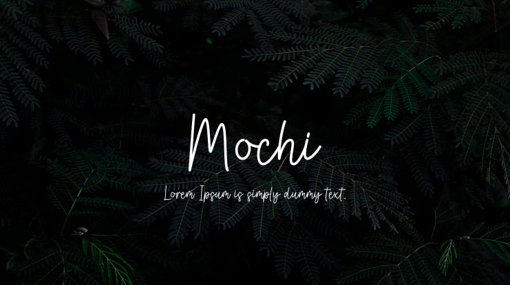 Mochi Font