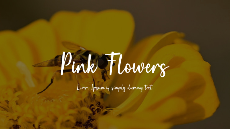 Pink Flowers Font