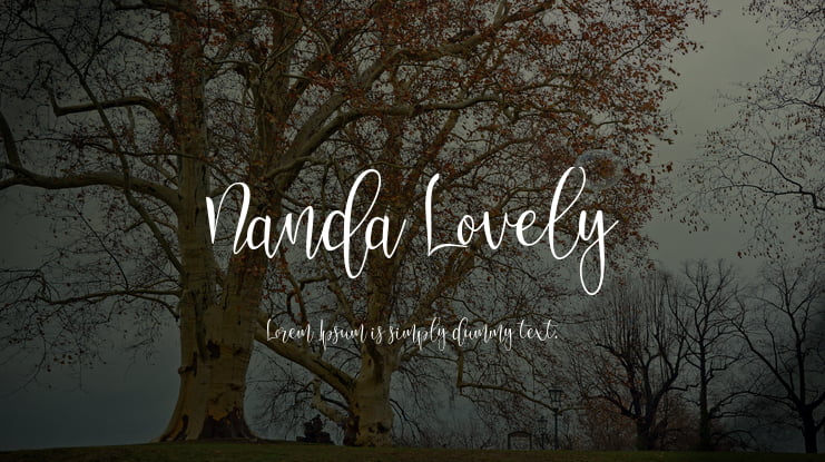 Nanda Lovely Font Family