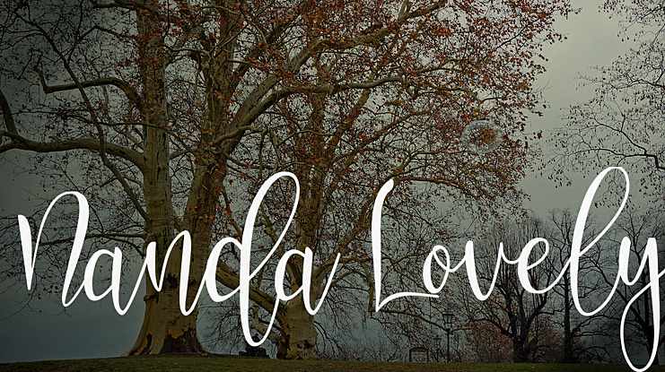 Nanda Lovely Font Family