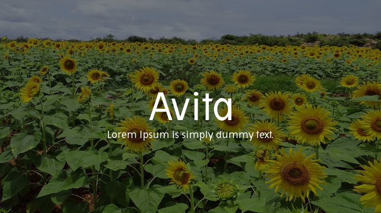 Avita Font Family