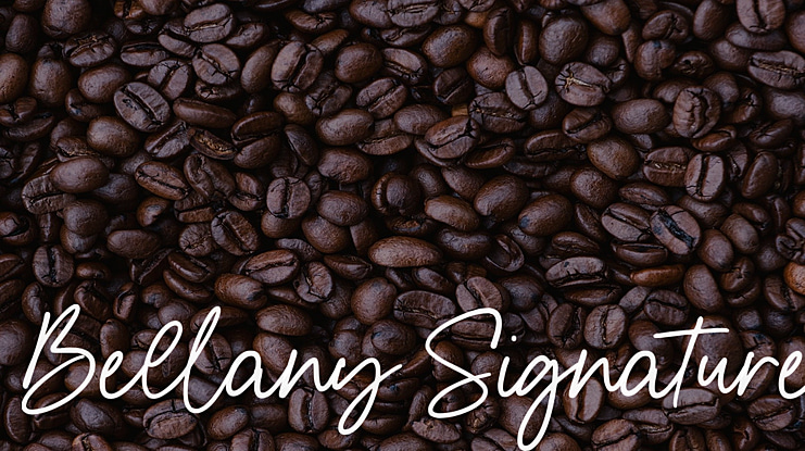 Bellany Signature Font